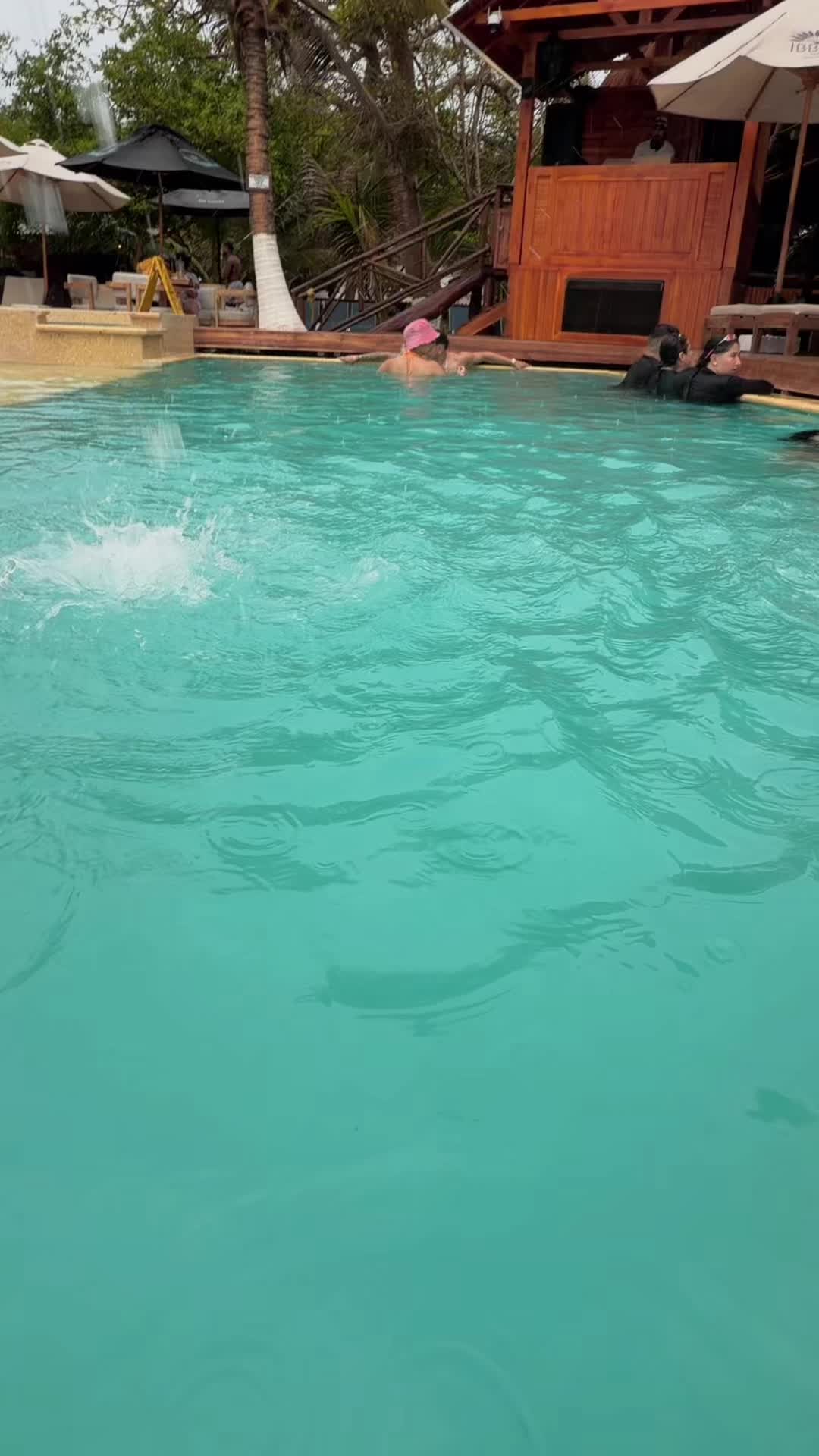 @•Yuly🤍