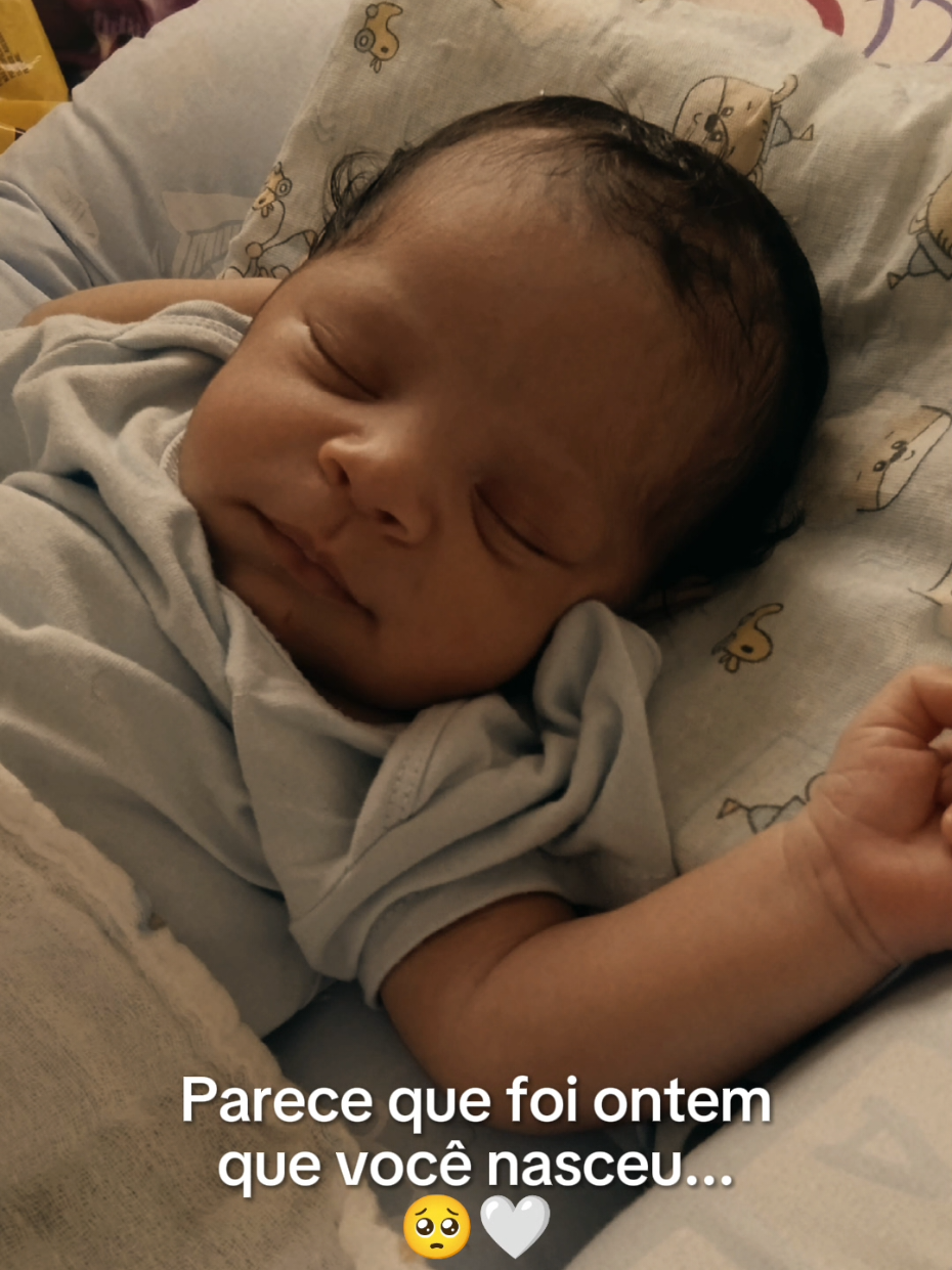 @joice lemes