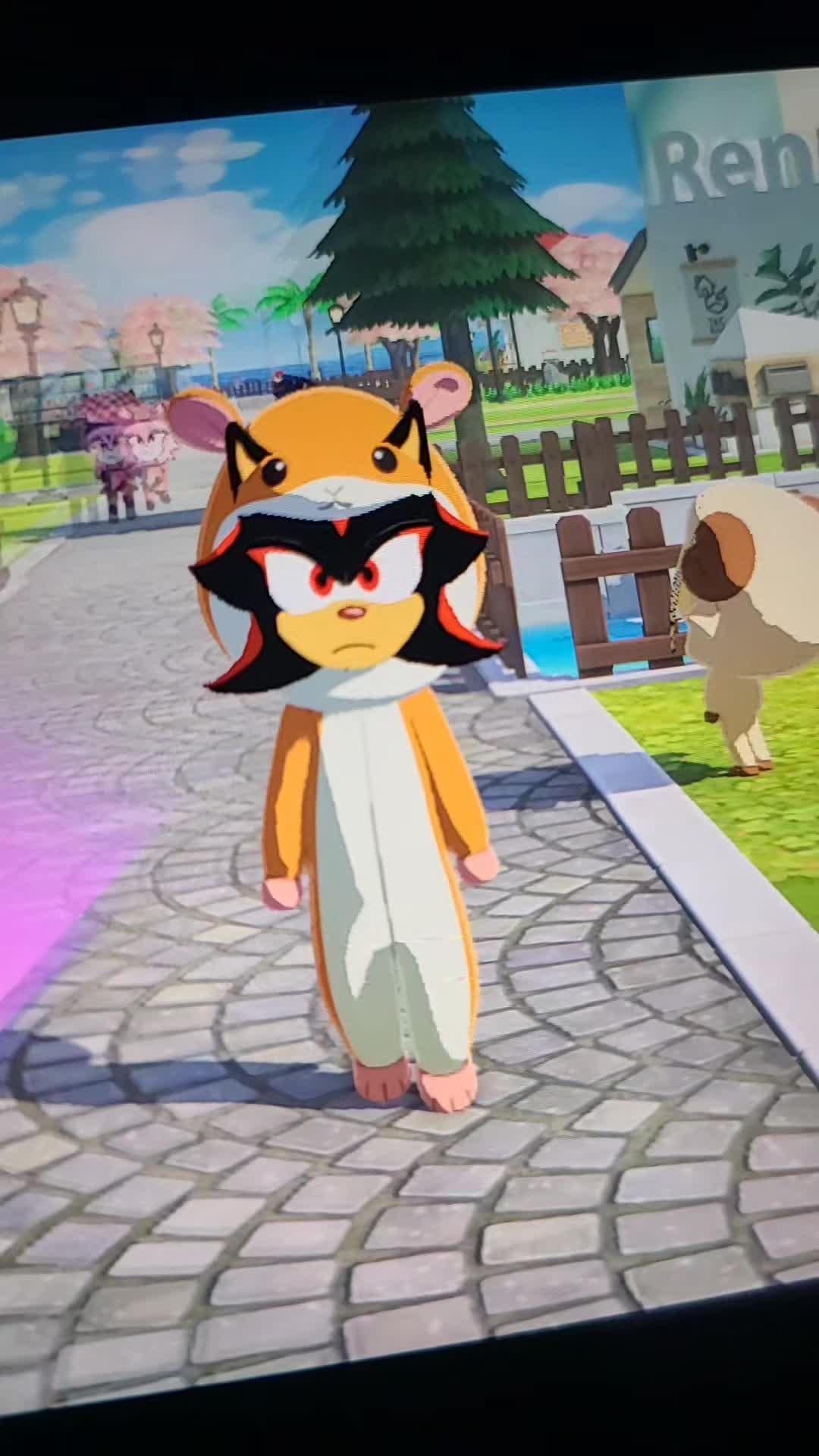 @🦝