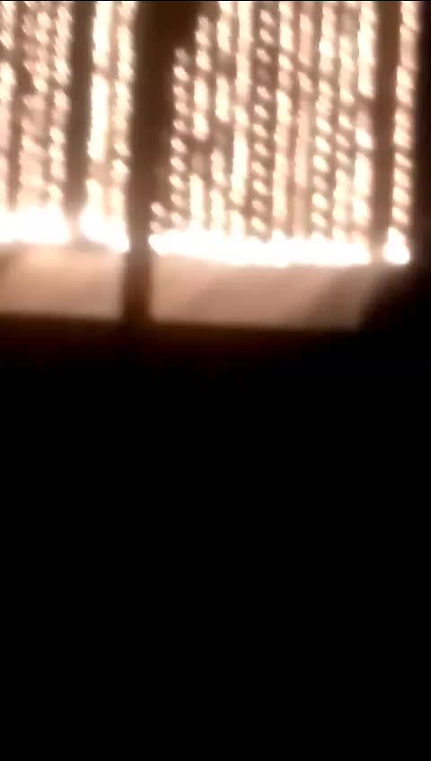 @janogerman