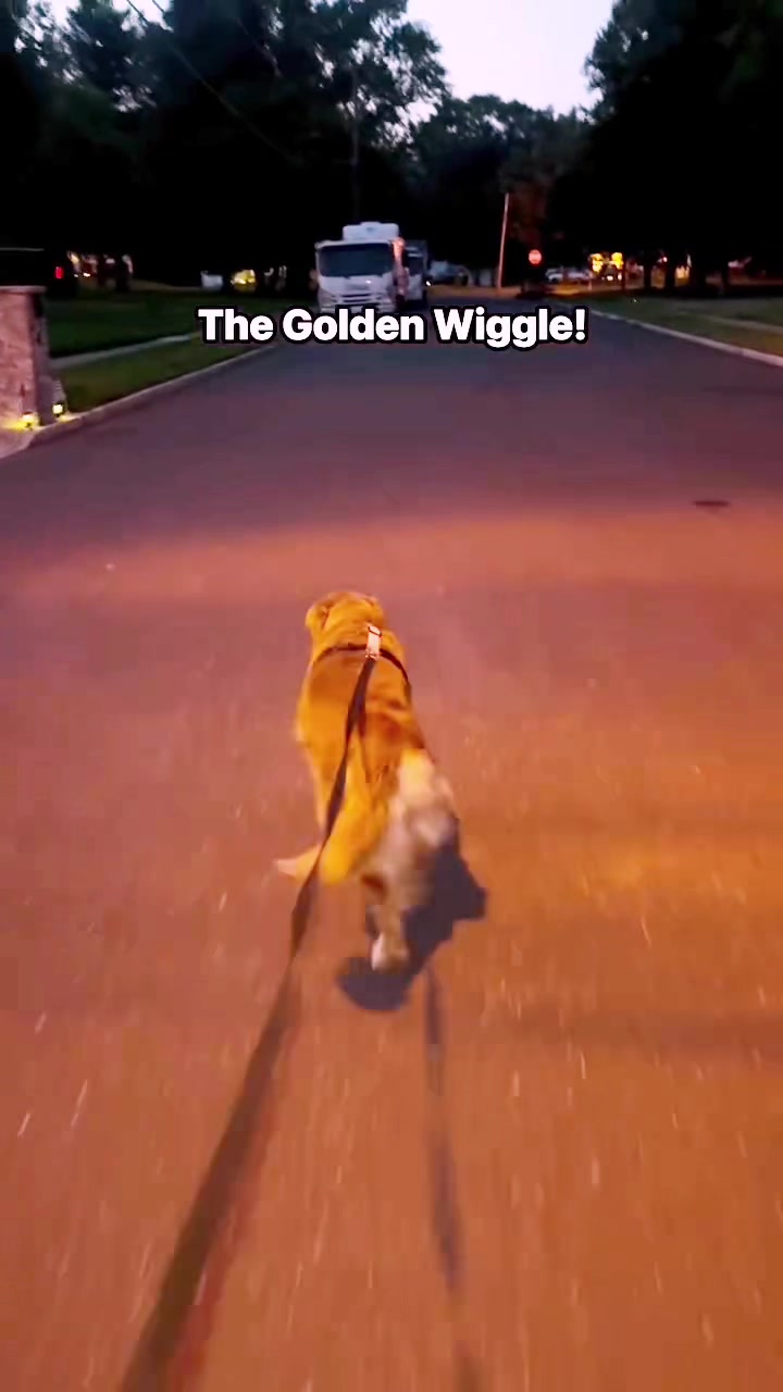 @AthenaTheGoldenQueen