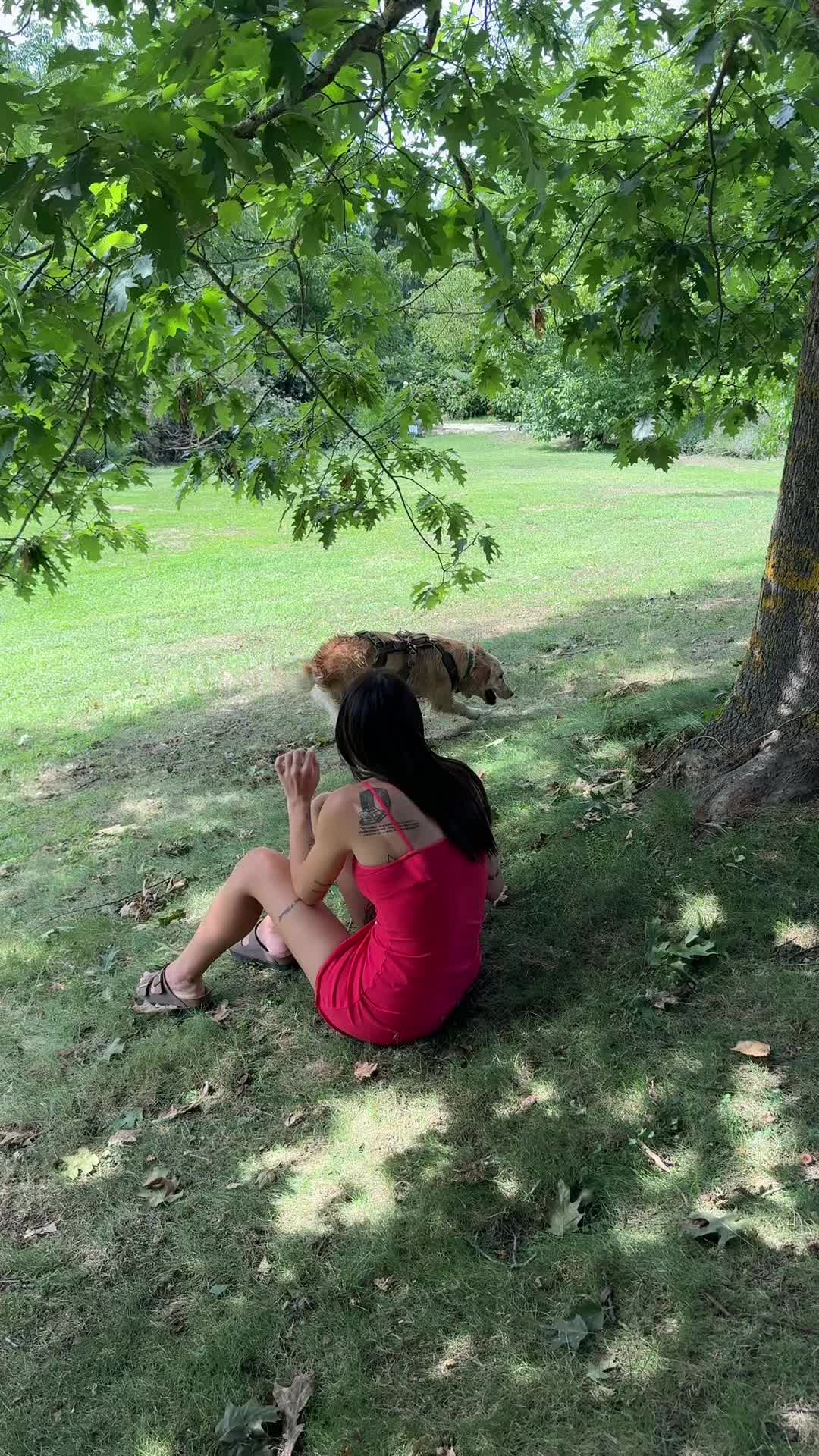 @AMELI(SSA)🐶👧🏻