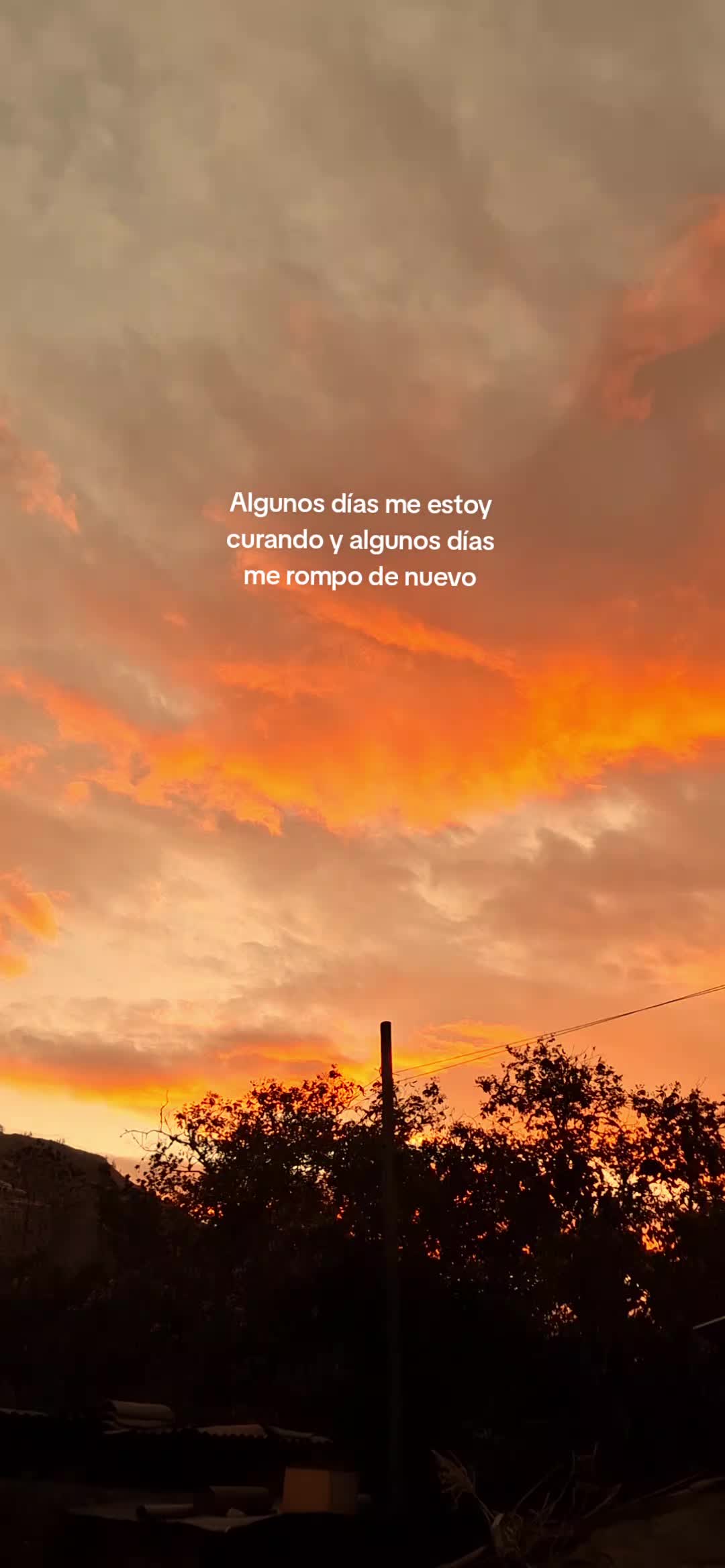 @Amelii Herrera