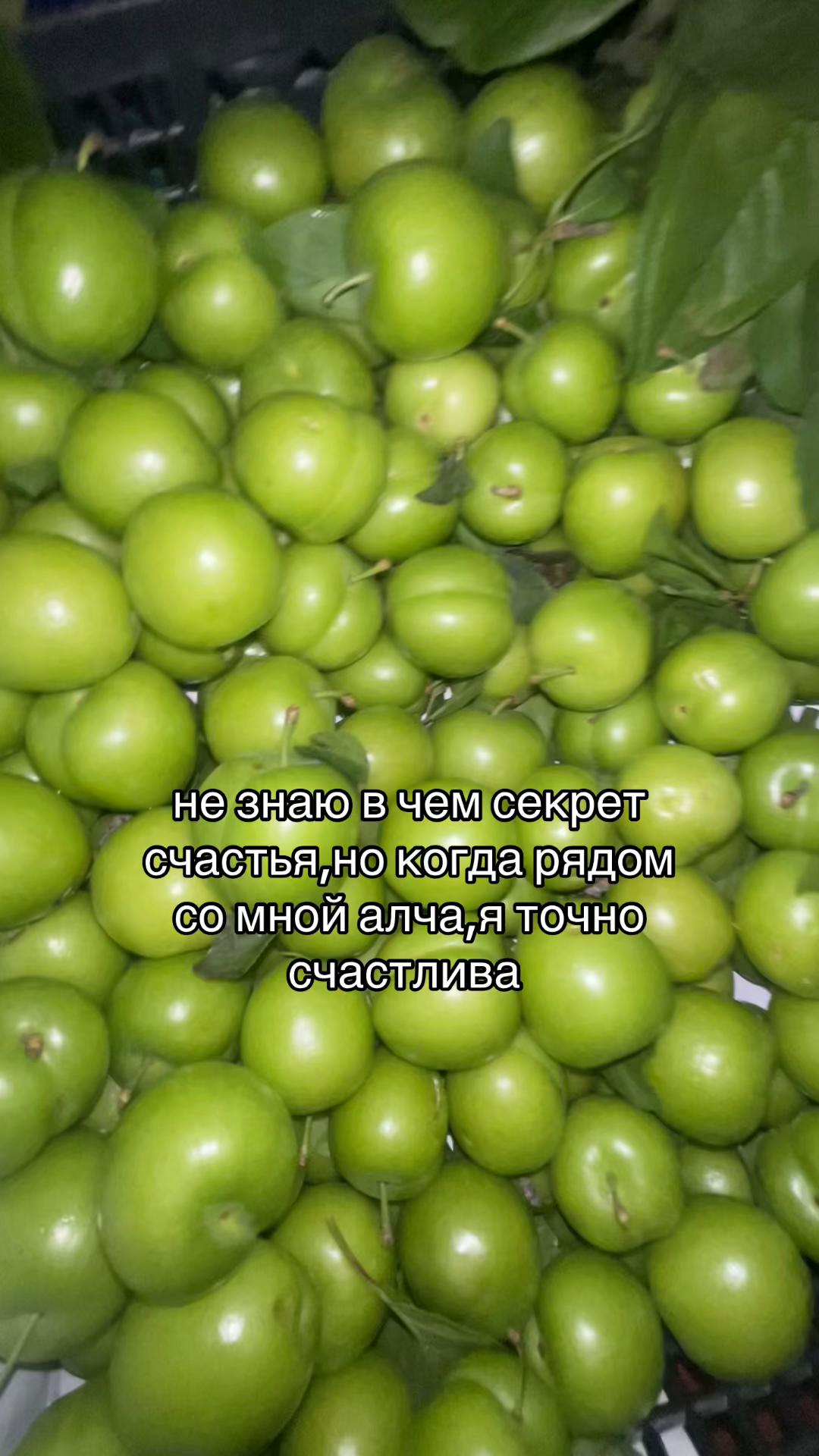 @хасайя азерцай