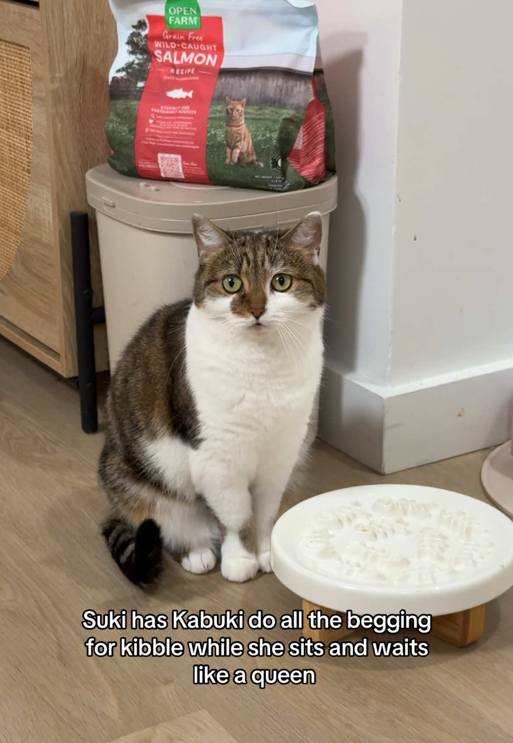 @Suki Purrs