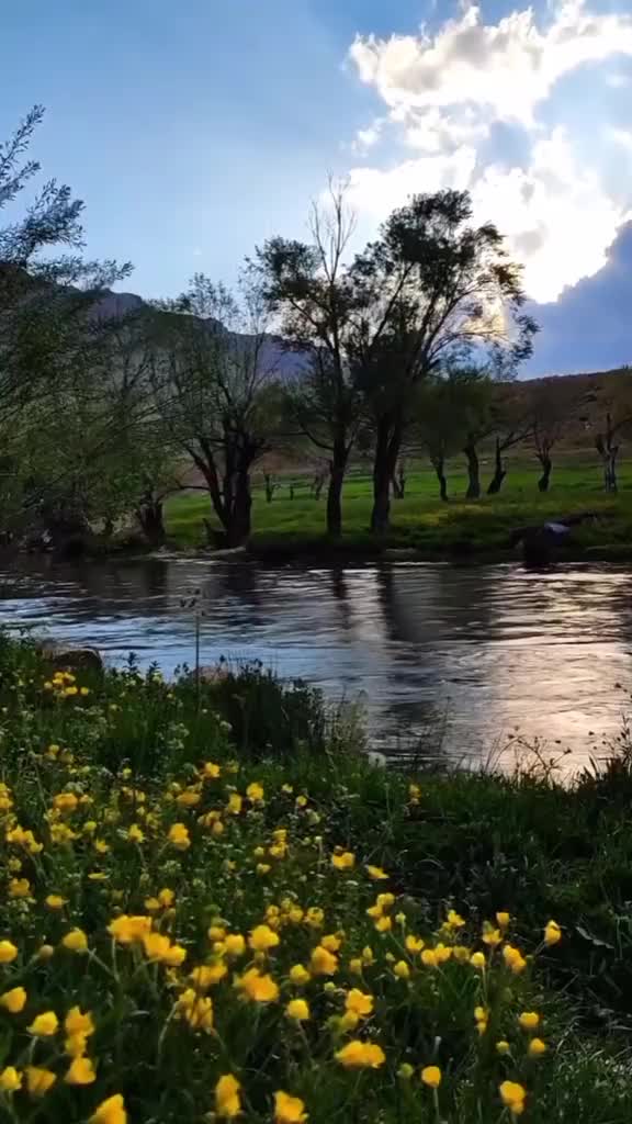 @Asena 1453