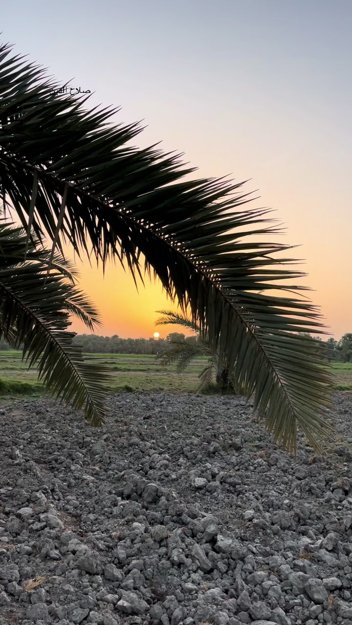 @گمنام ✍️