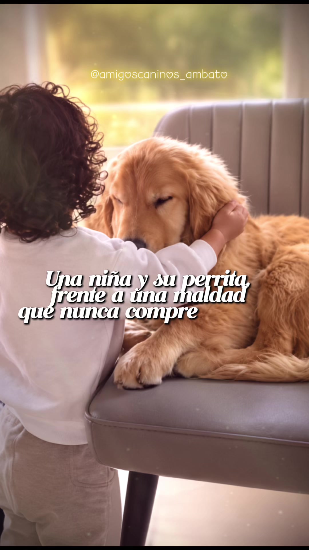 @Amigoscaninos_Ambato