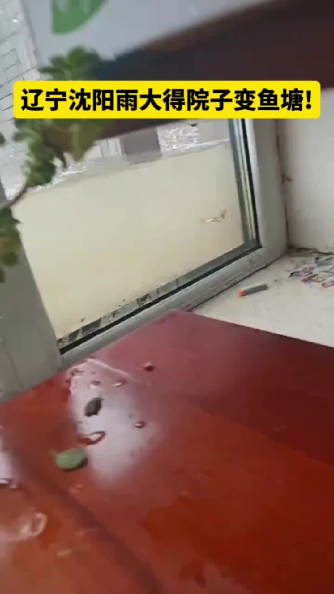 @奇点思维
