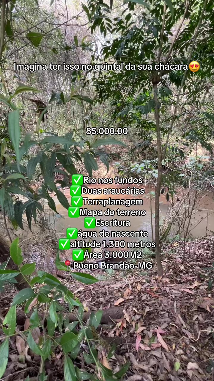@fernando souza