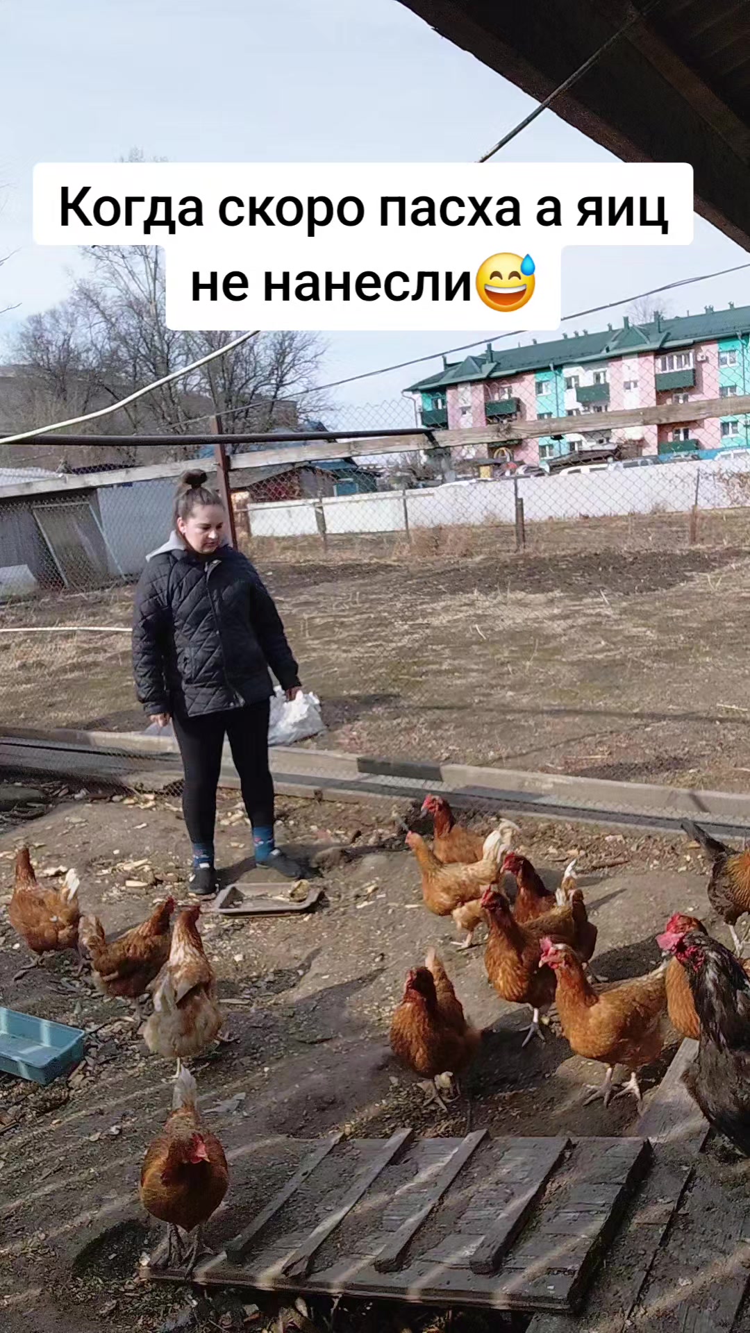 @Ксения