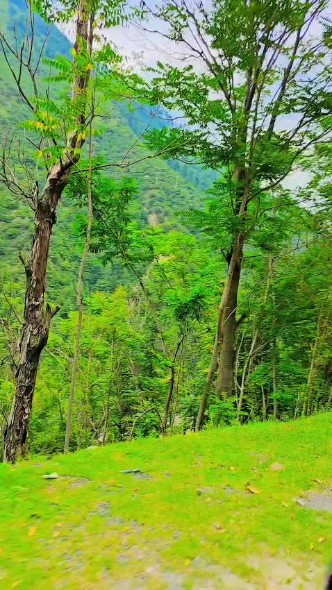 @❤️Danyal FarooQ😍