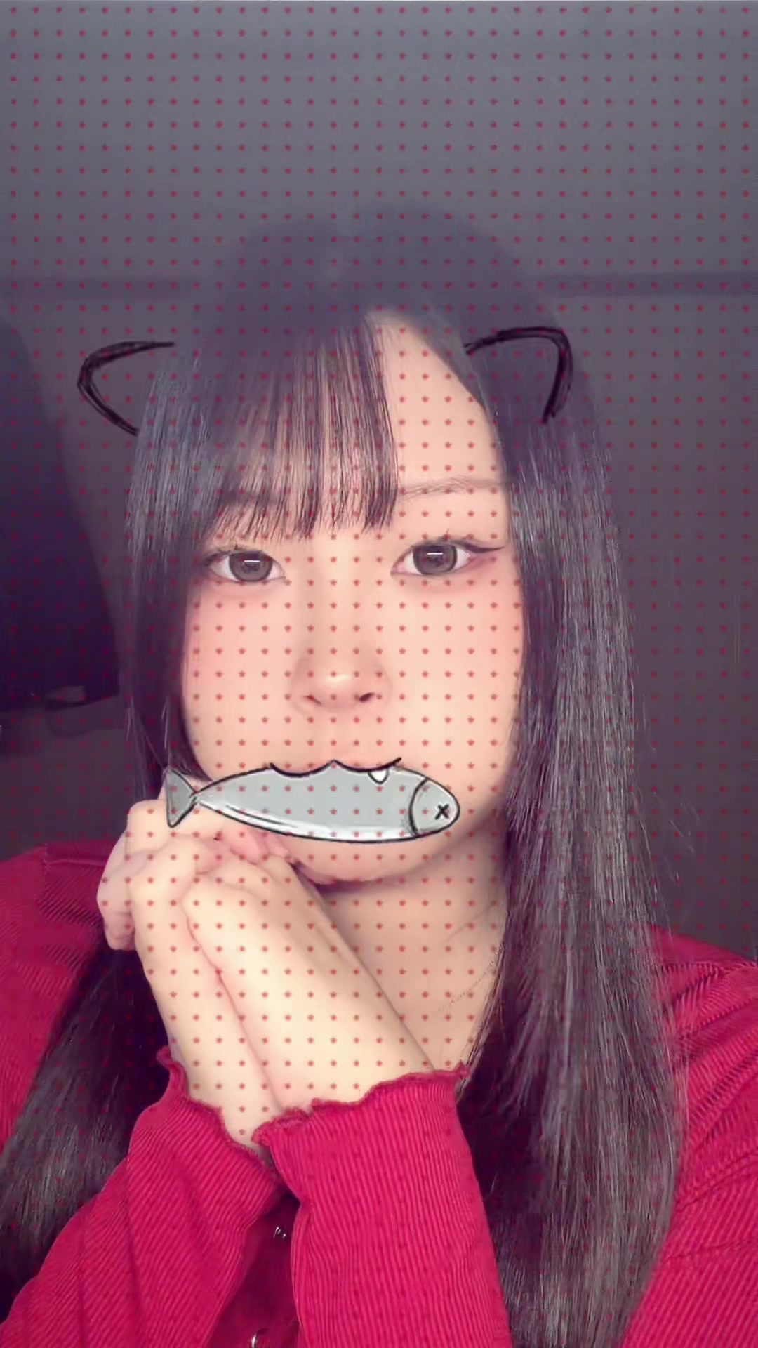 @mira_i14