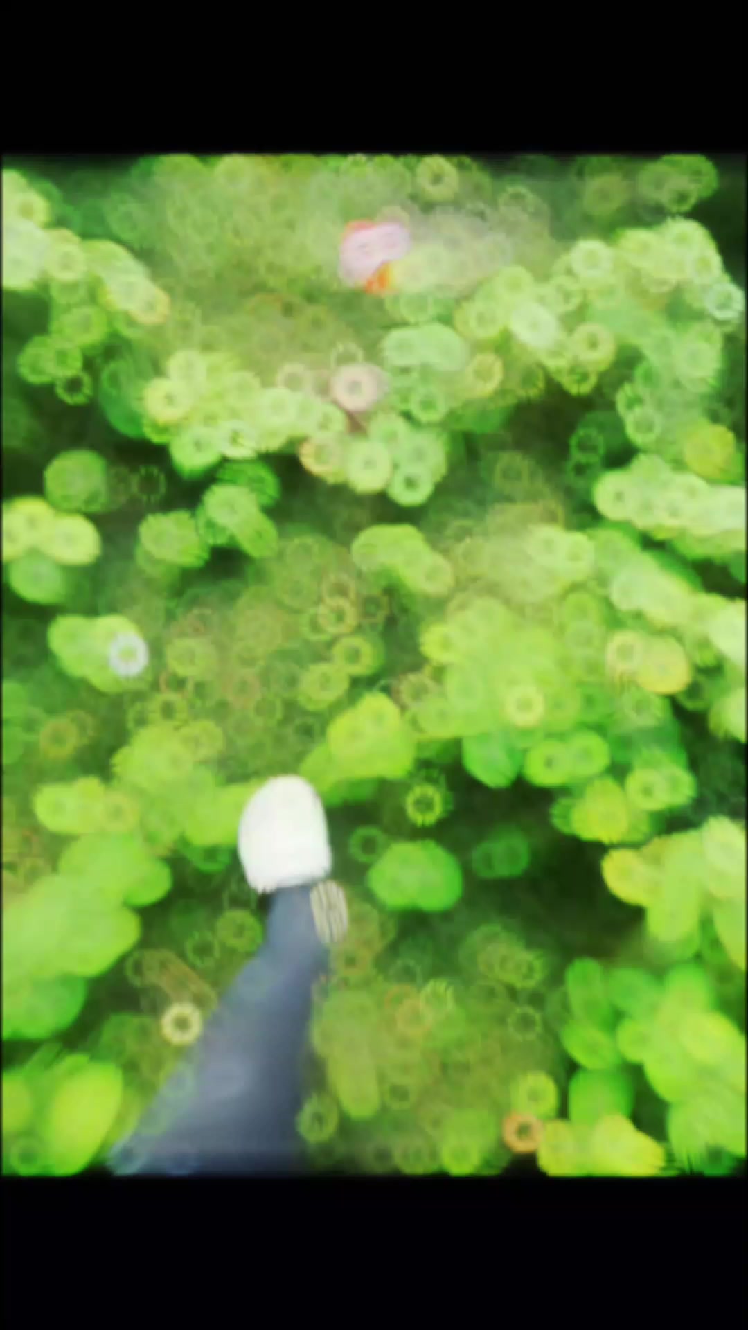 @&times;͜&times; ᴄʀᴀᴢʏ 𝙱𝙾𝚈࿐