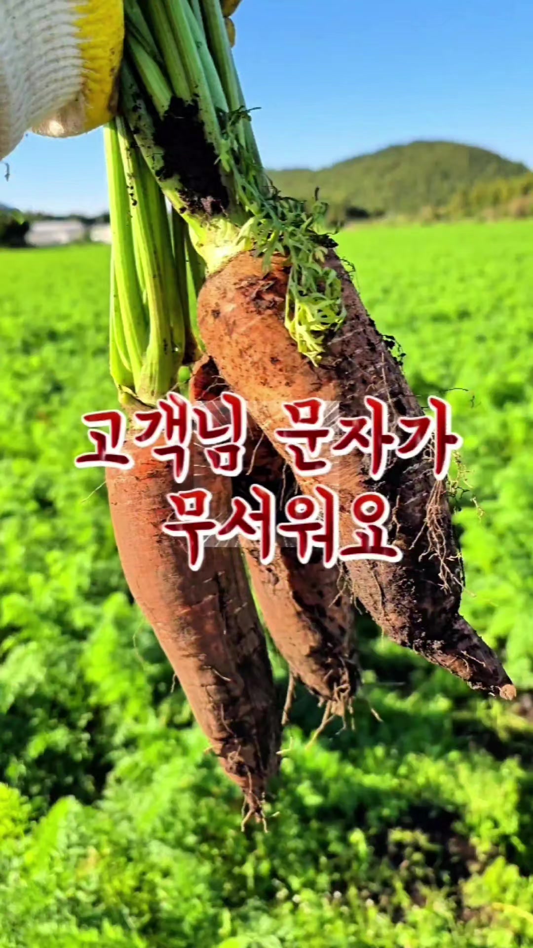 @진심먹거리