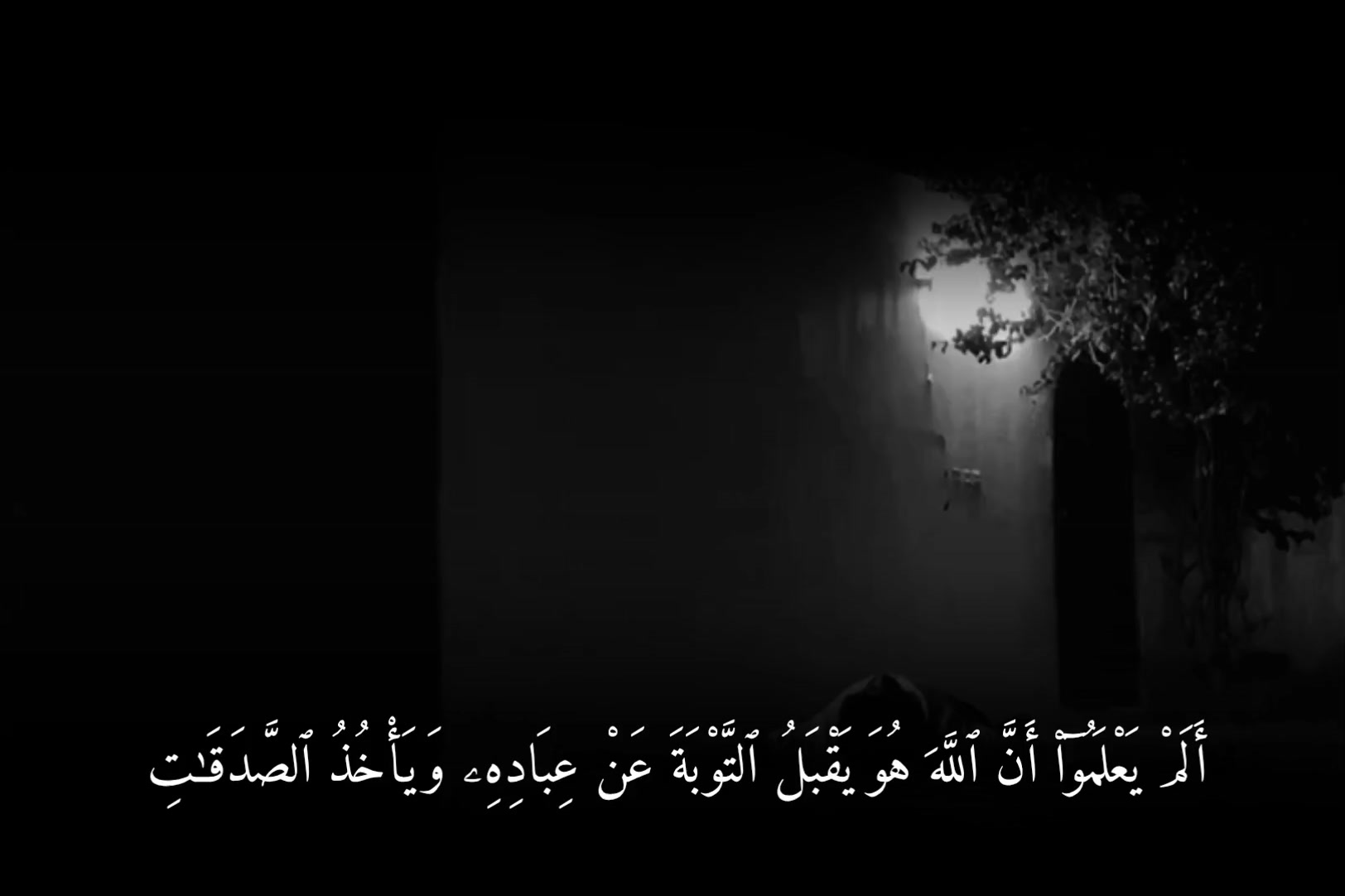 @ابابيل"| ababil"
