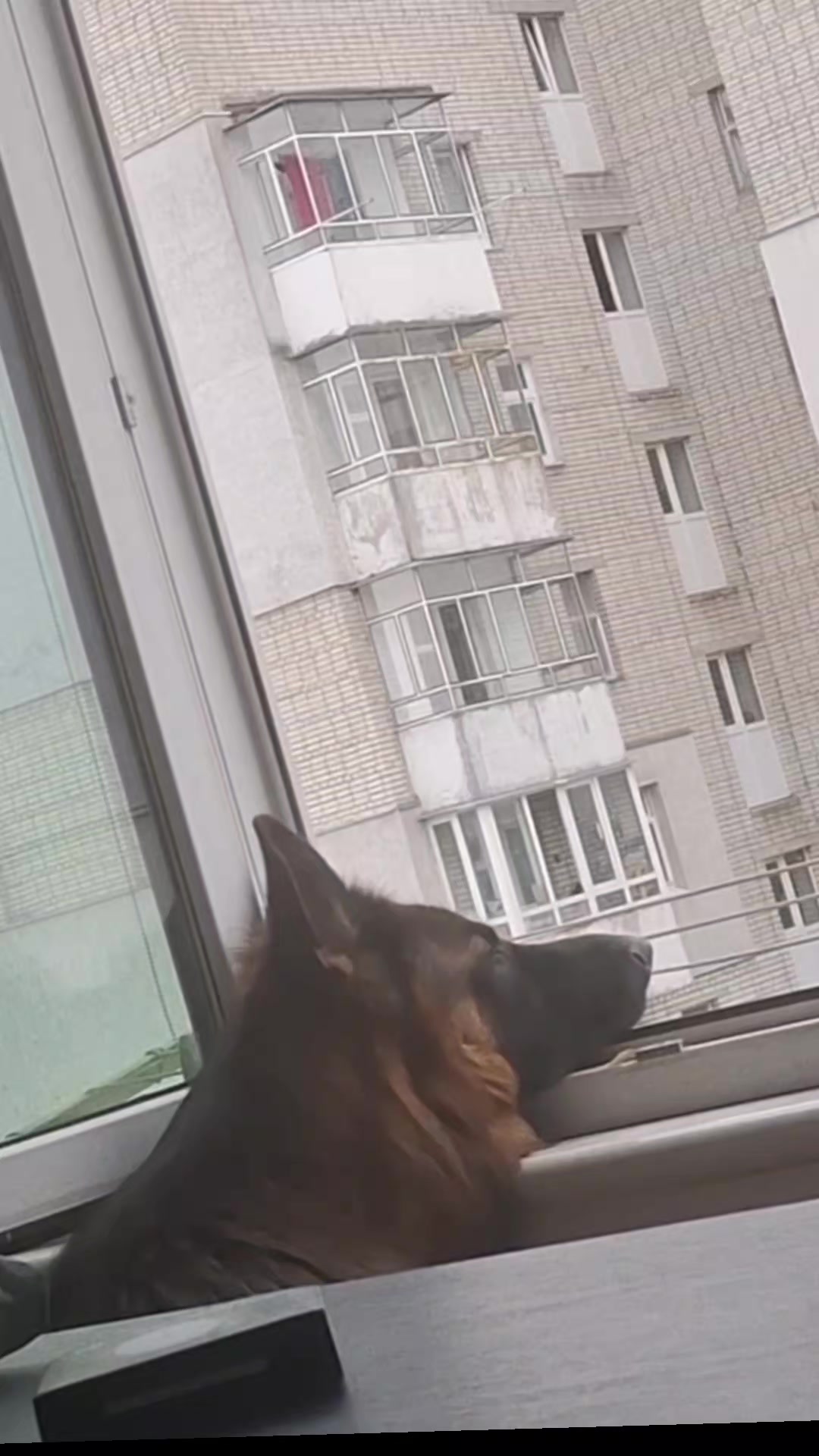 @МАТЬ ДРАКОНІВ🤣