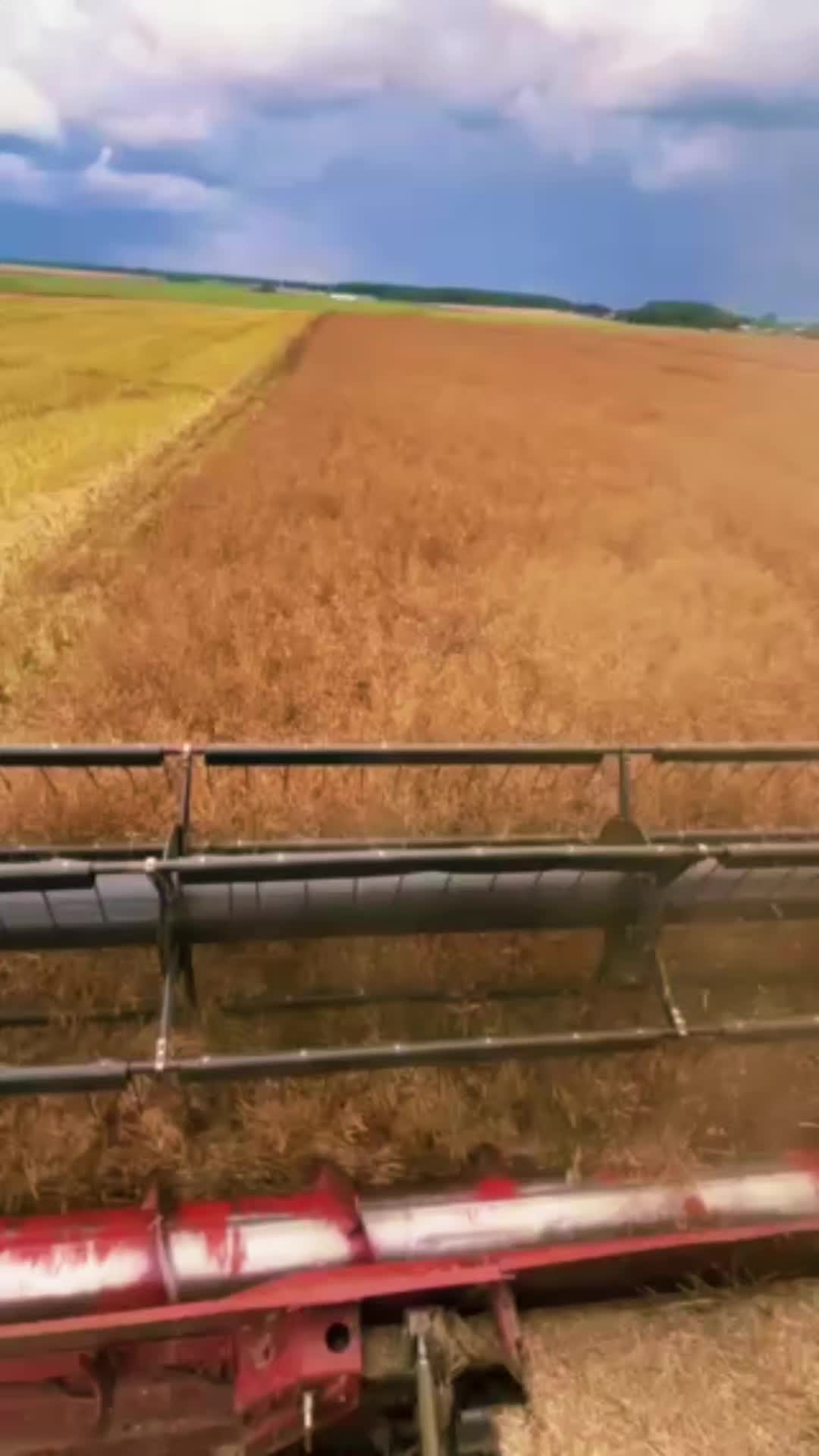 @ОАО "Деревное"