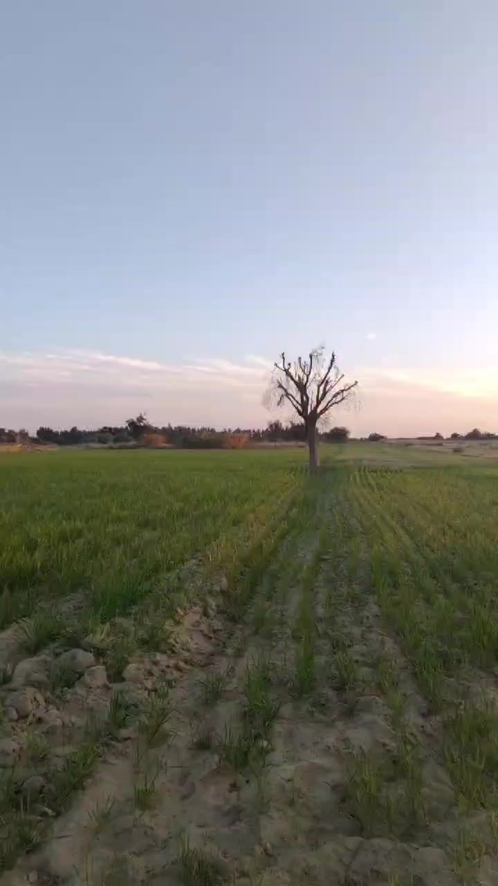 @KP_Police18