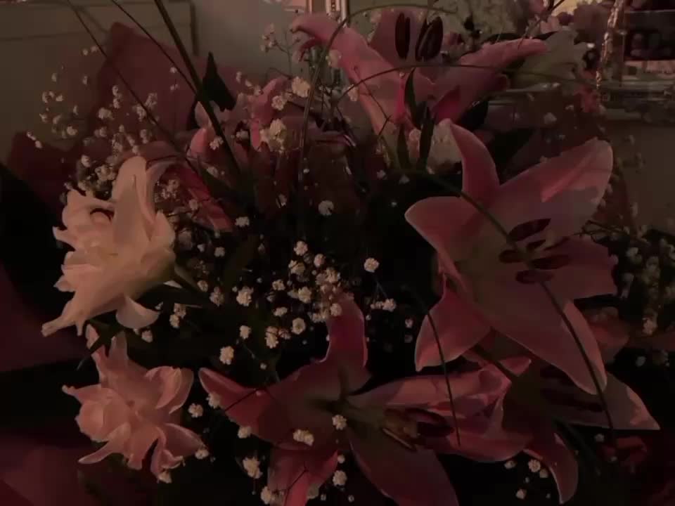 @звуки для липсингов