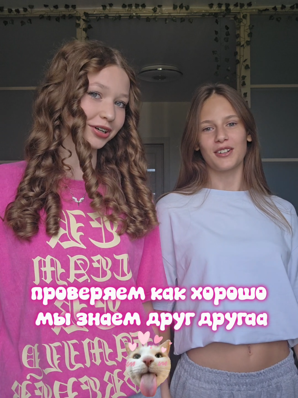 @svetka svink୨ৎ