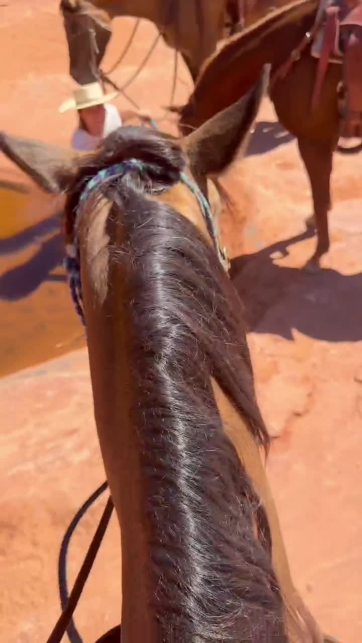 @🐎🐴picture perfect🐴🐎