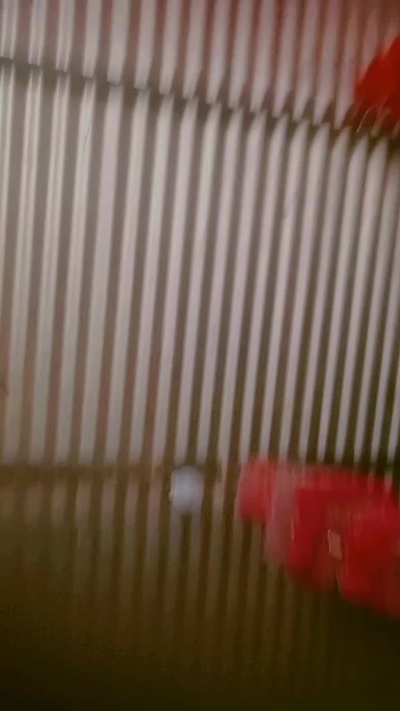 @anika♥️ angad54