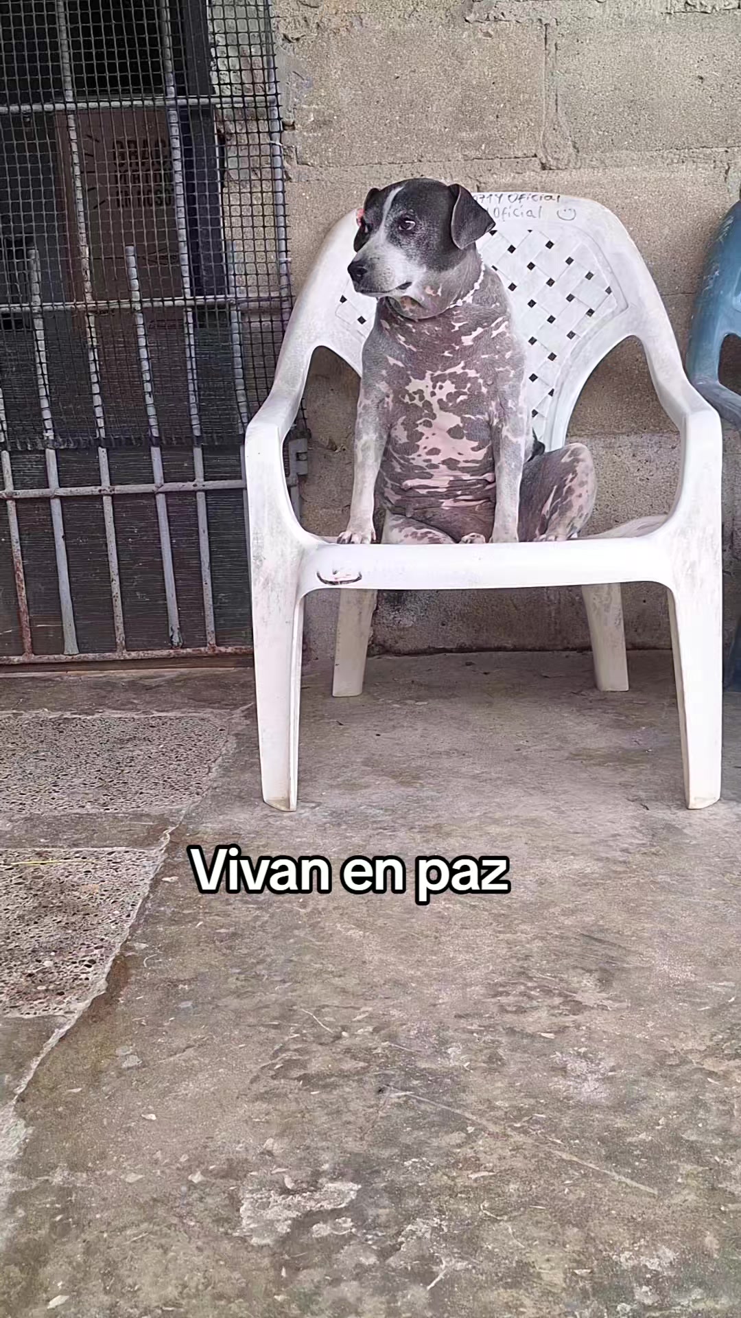 @MANCHAS 0714 OFICIAL