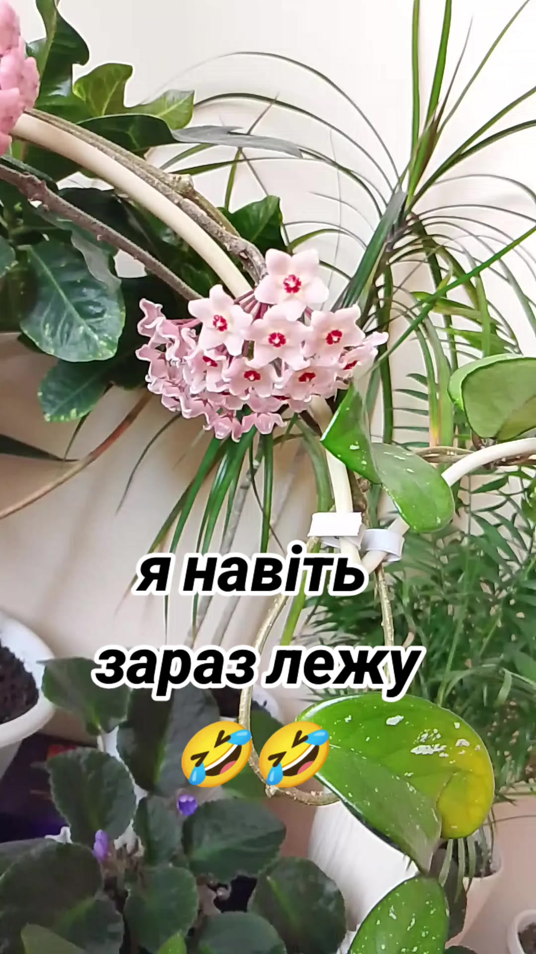 @Ksenia:💙🖤