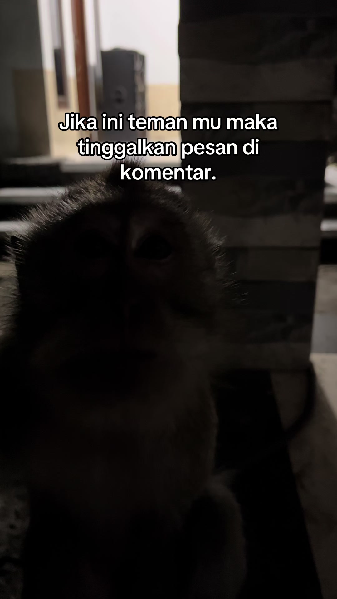 @Nyunyut
