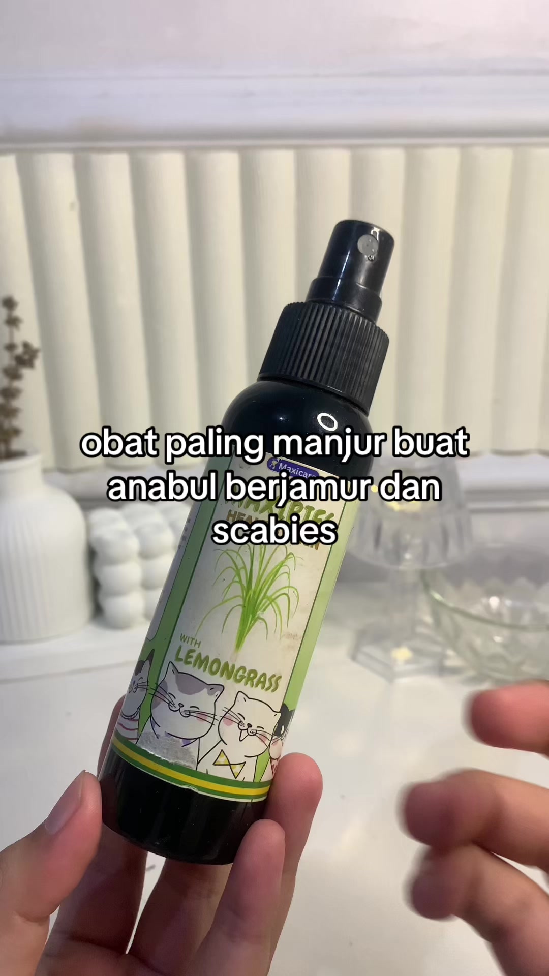 @keplesetingus77