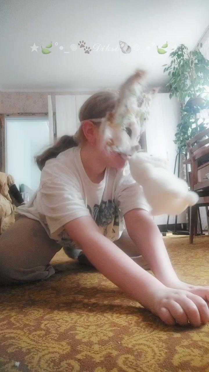 @★🍃°•_𖦹🐾𝓓𝓲𝓴𝓼𝓲🐚𖦹_•°🍃★