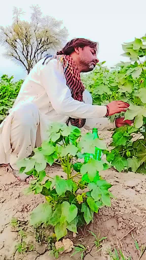 @Ghayal 🧡Jaan