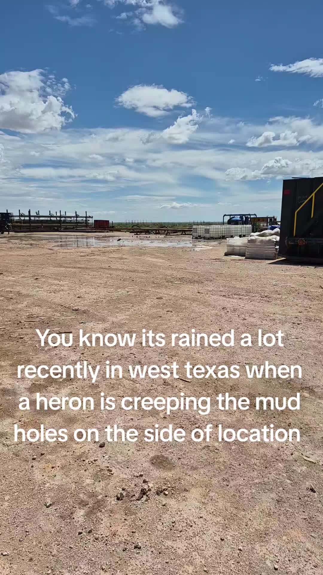 @unknown
