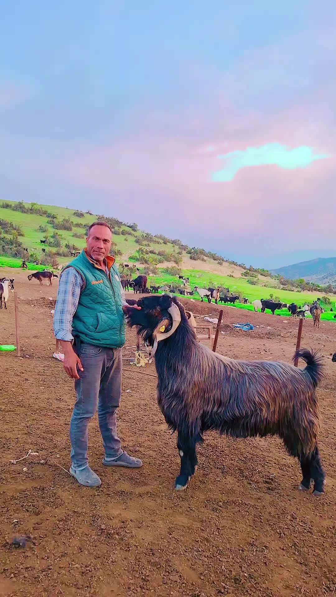 @Y&ouml;r&uuml;koğlu Yaşar 20
