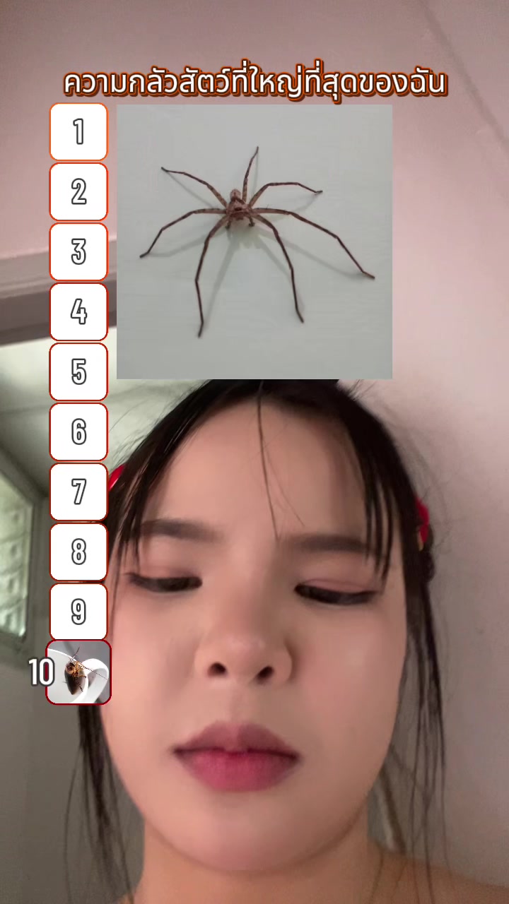 @กาตูน สเปคเด็กน้อย🎀