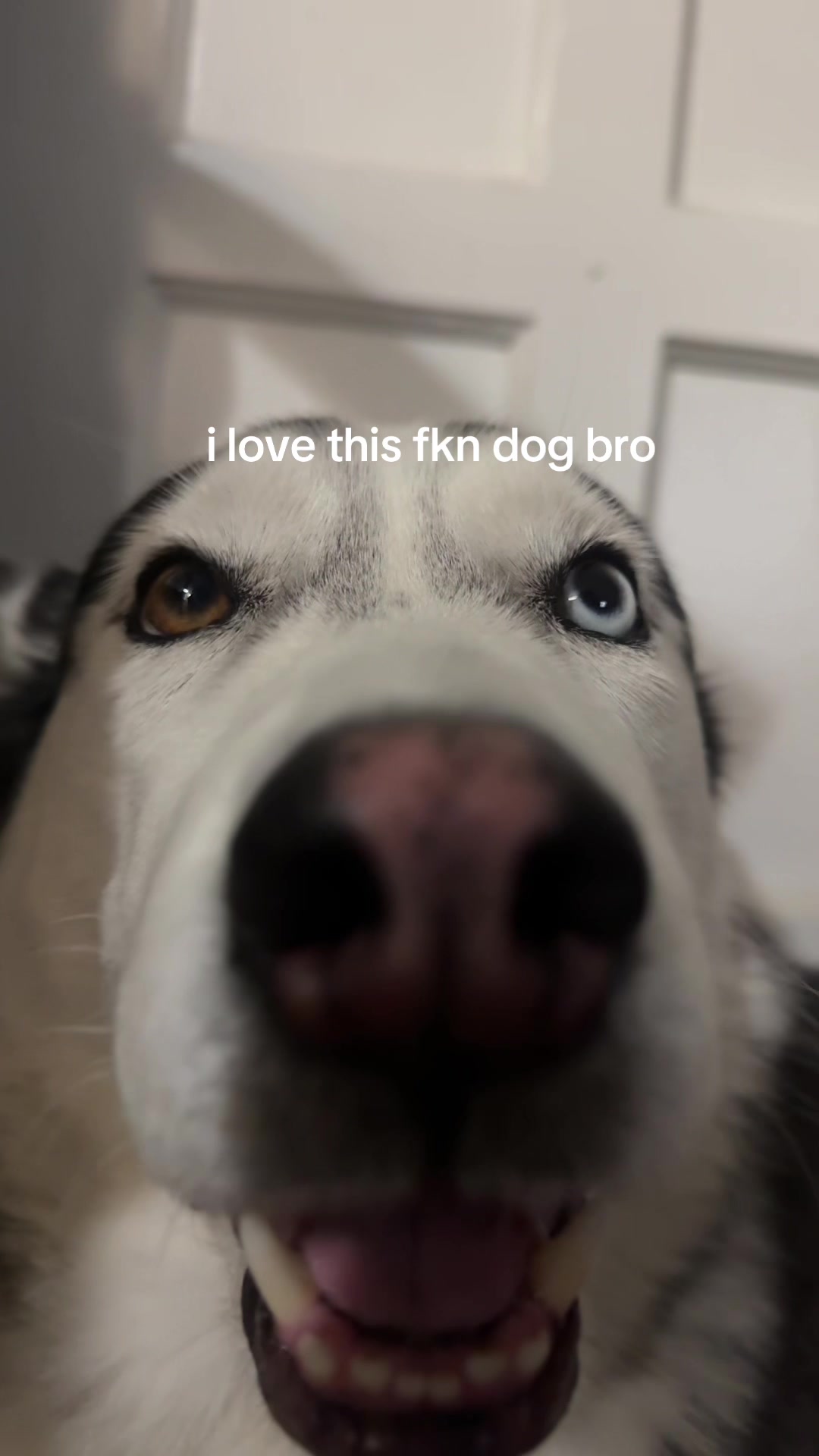 @꩜