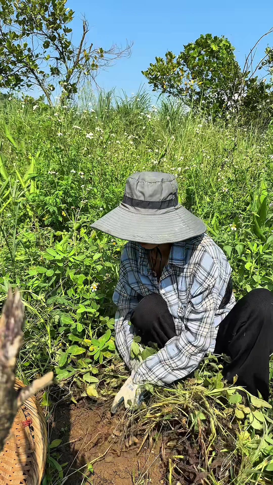 @Nhi Dao Đỏ