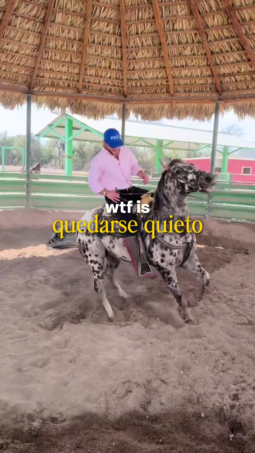 @Patricio Lozano