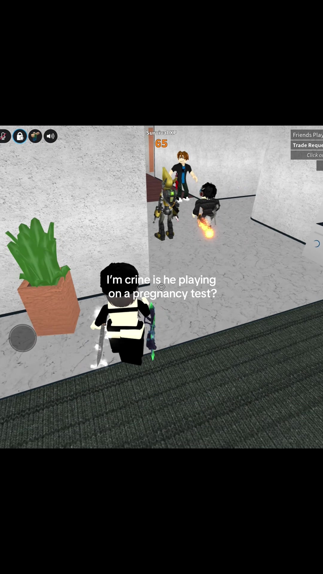 @novsx.