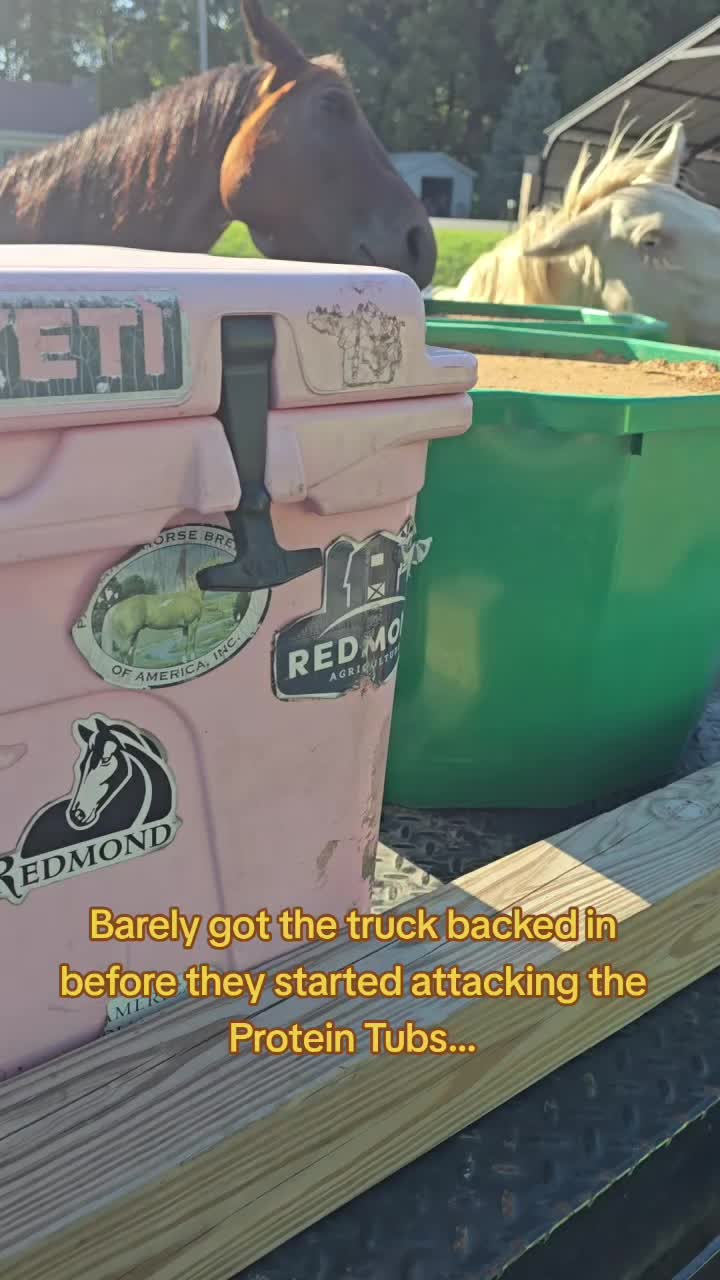 @Small Town Farm LLC