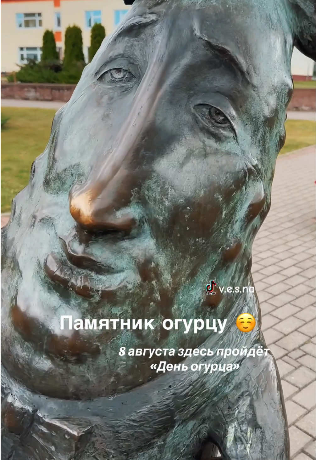 @vesna