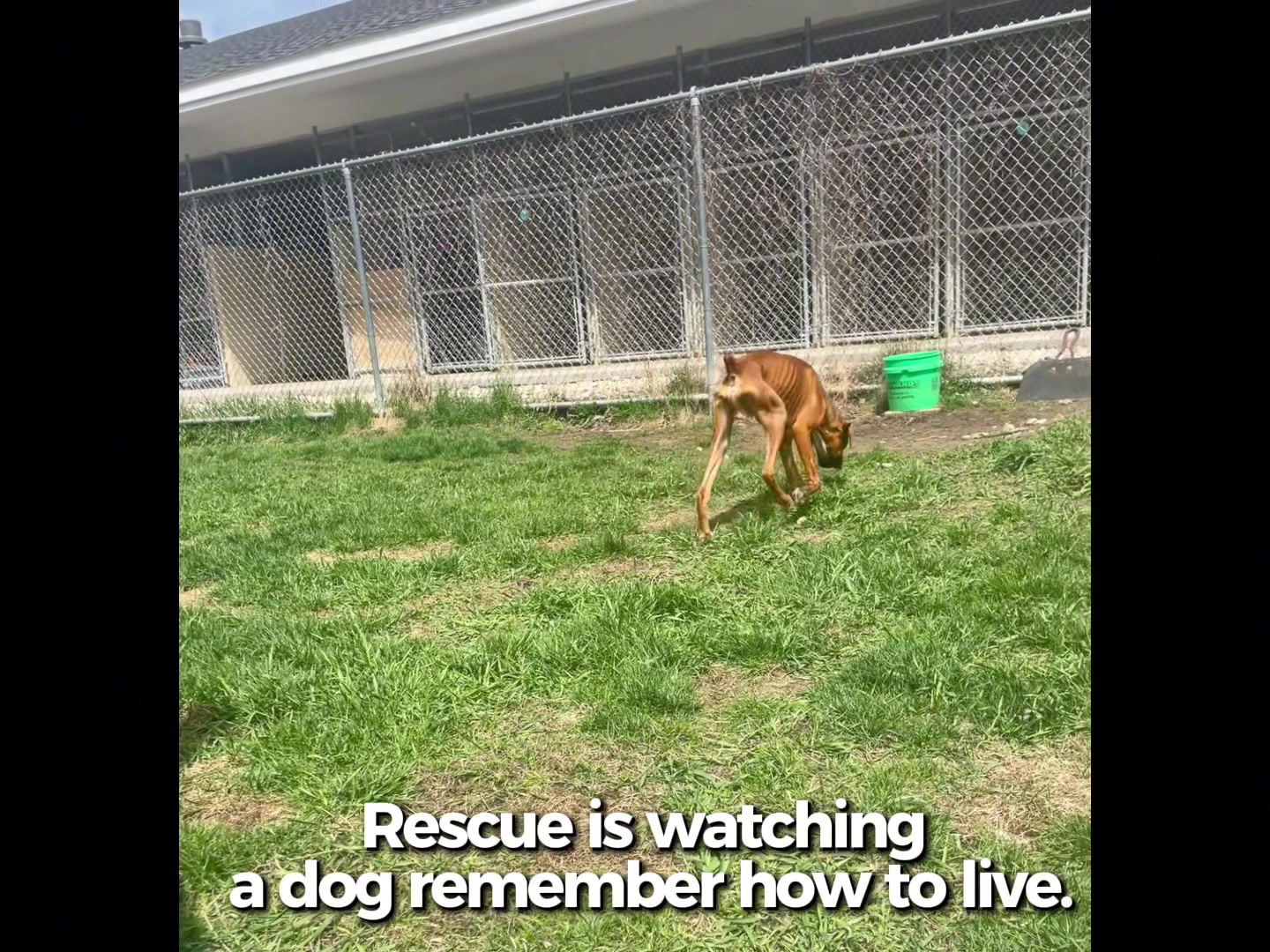 @Mal Lory