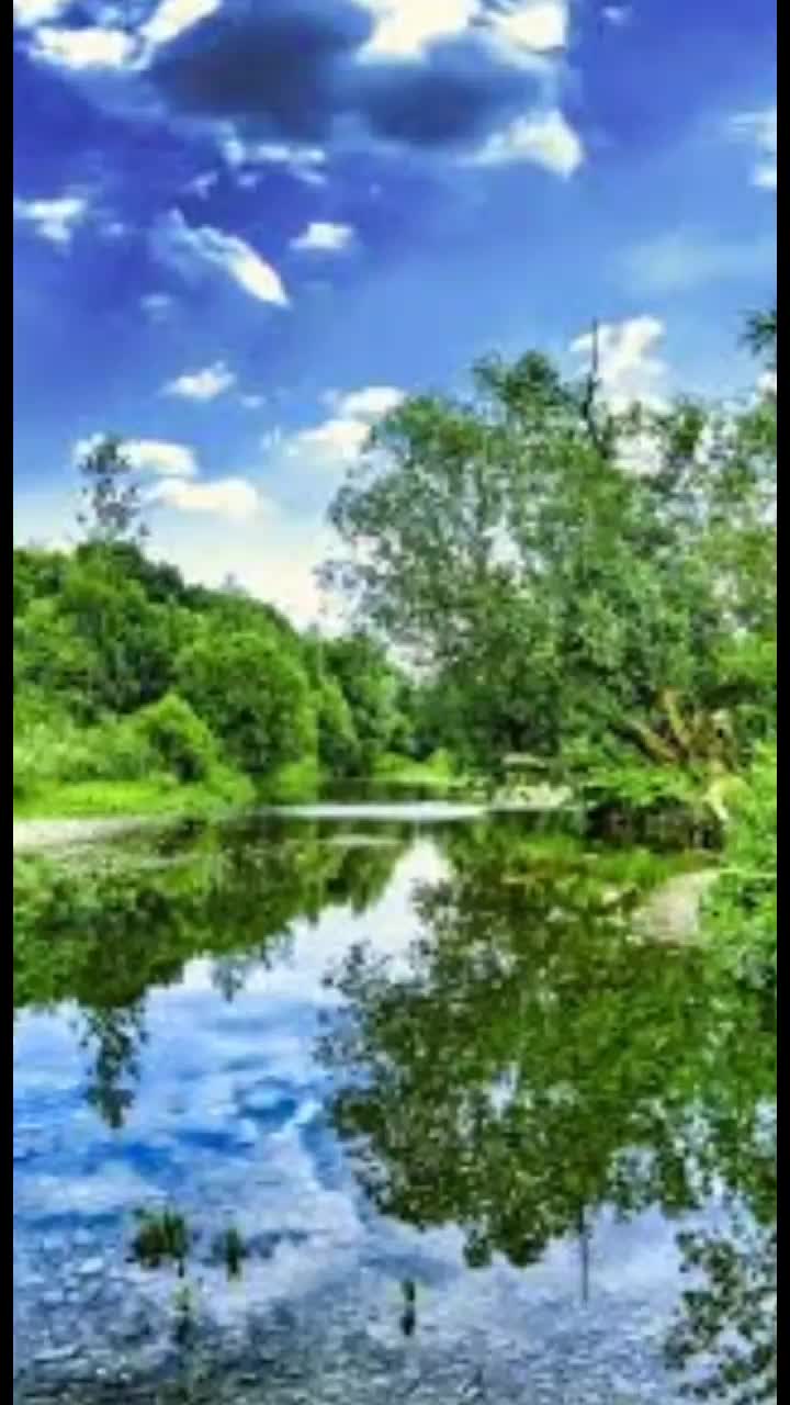 @user868645 Лидия. Срывова.