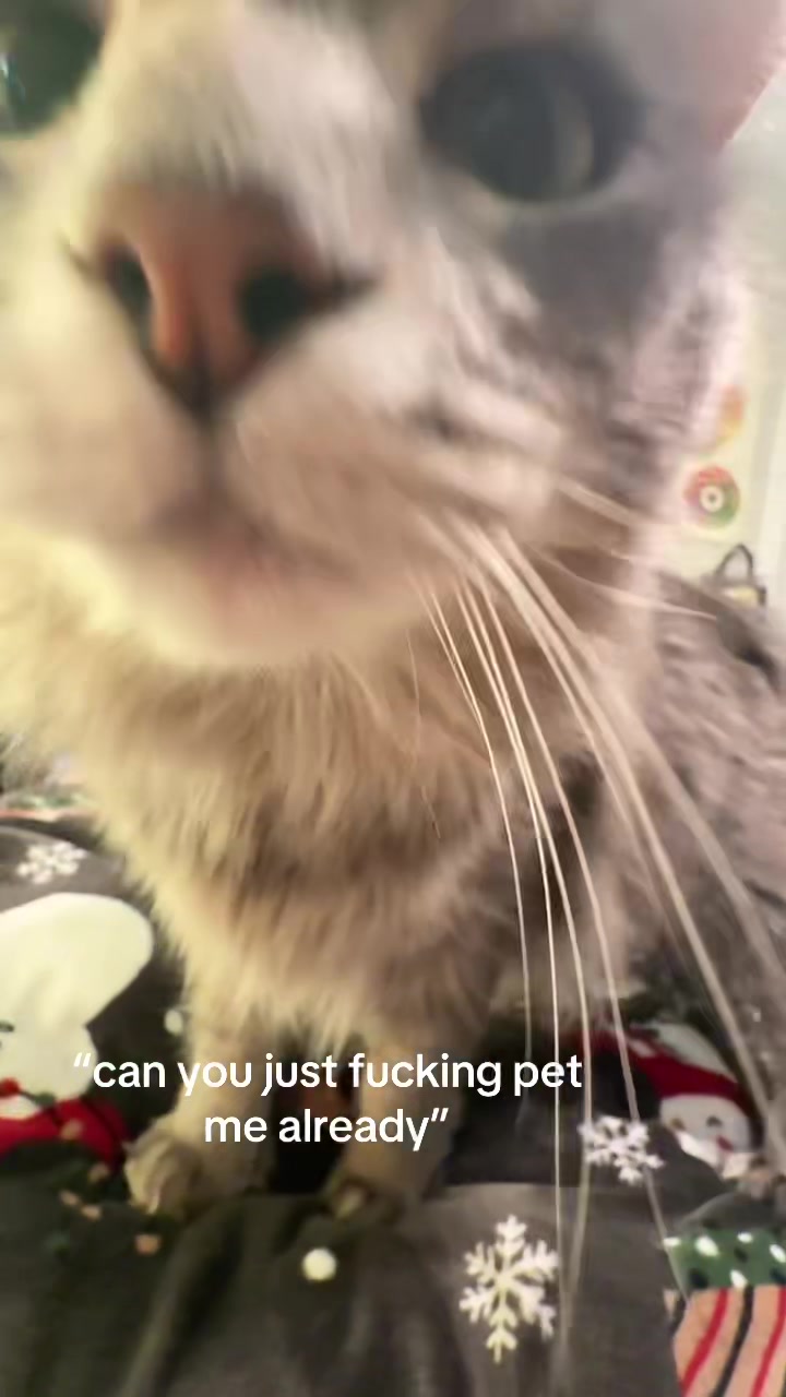 @jdubsメ૦