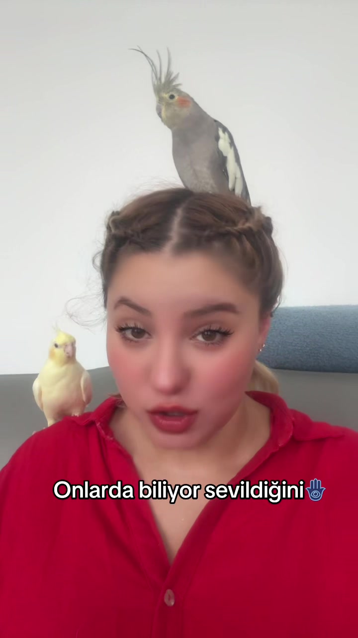 @🦁@sedasaritaş 🪽
