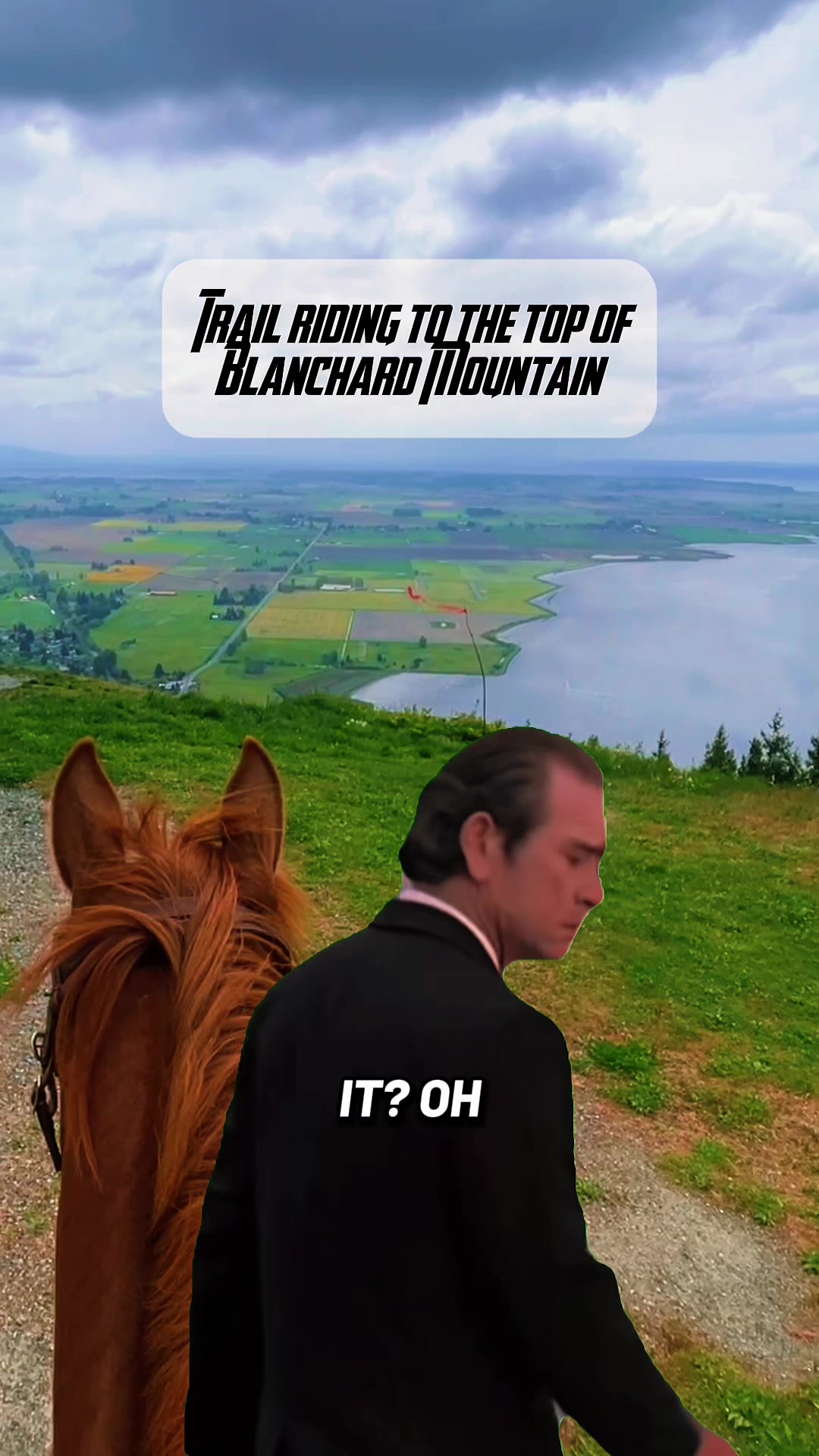 @Pony Girl