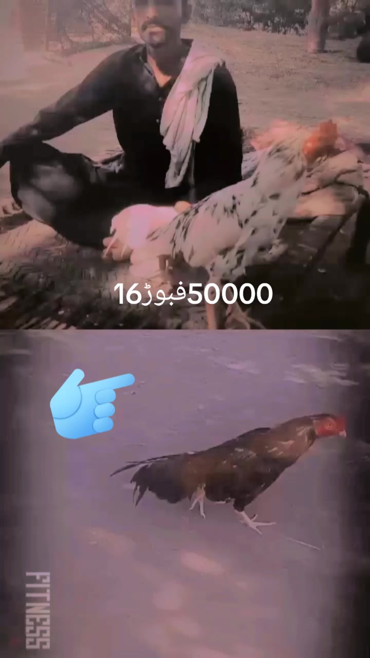 @بائیو وزیر شھبازی