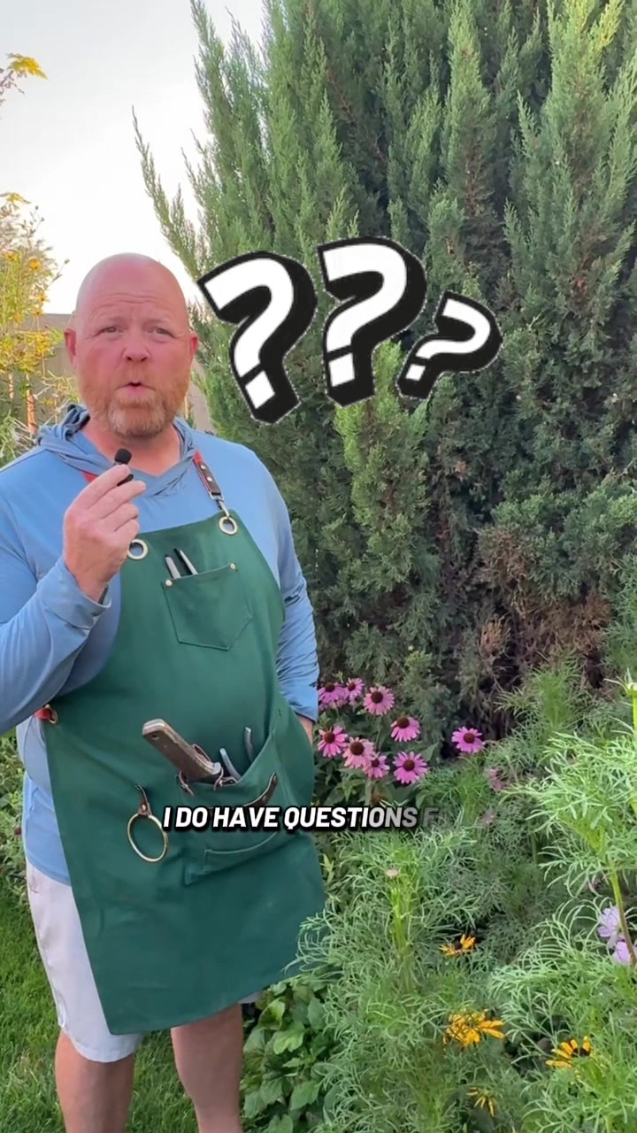@backyardBeeg