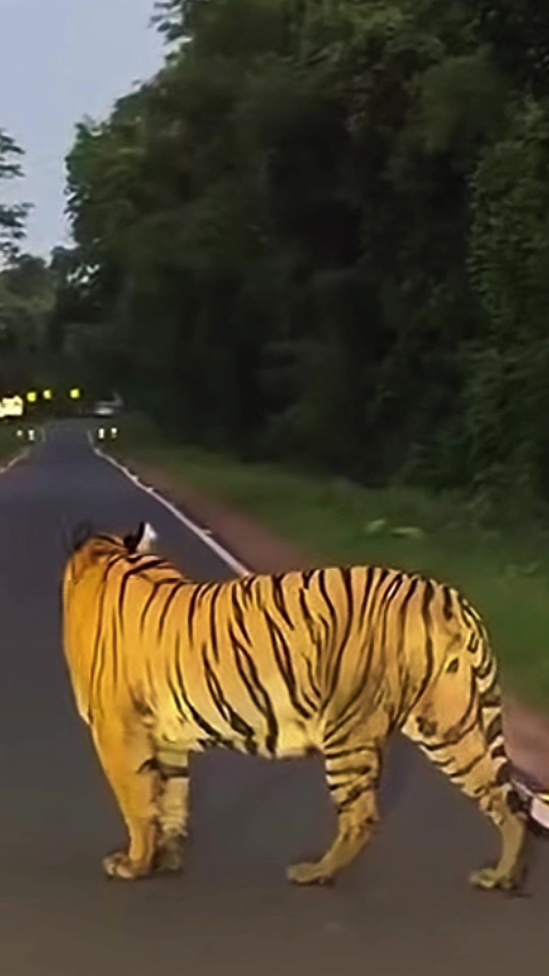 @🐅𝕊𝕂𝔸ℕ𝕋ℍ𝔸ℕ𝕌ℝ_𝕄𝔸𝕋ℍ𝔸ℕ